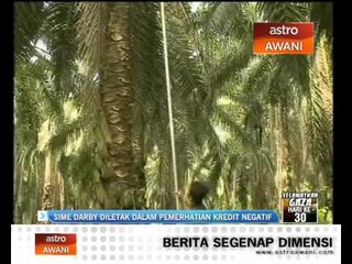Sime Darby diletak dalam pemerhatian kredit negatif