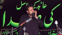 Allama Fakhar Abbas Hashmi Hafizabad 17th Muharam 1439(2017) Choti Behak Hafizabad
