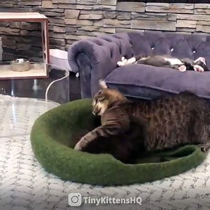 Grandpa Mason teaches Henson