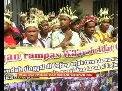 Masyarakat Orang Asli desak hentikan penerokaan tanah