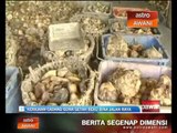 Kerajaan cadang guna getah beku bina jalan raya