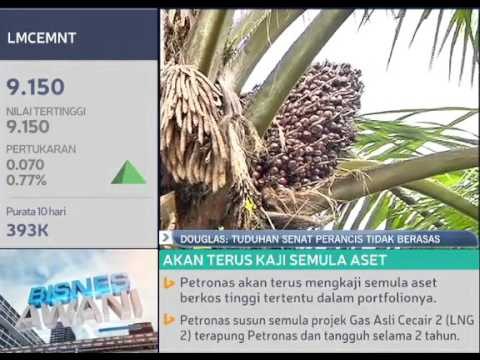 Amar Douglas: tuduhan Senat Perancis tidak berasas