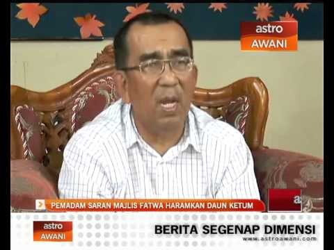 PEMADAM saran majlis fatwa haramkan daun ketum