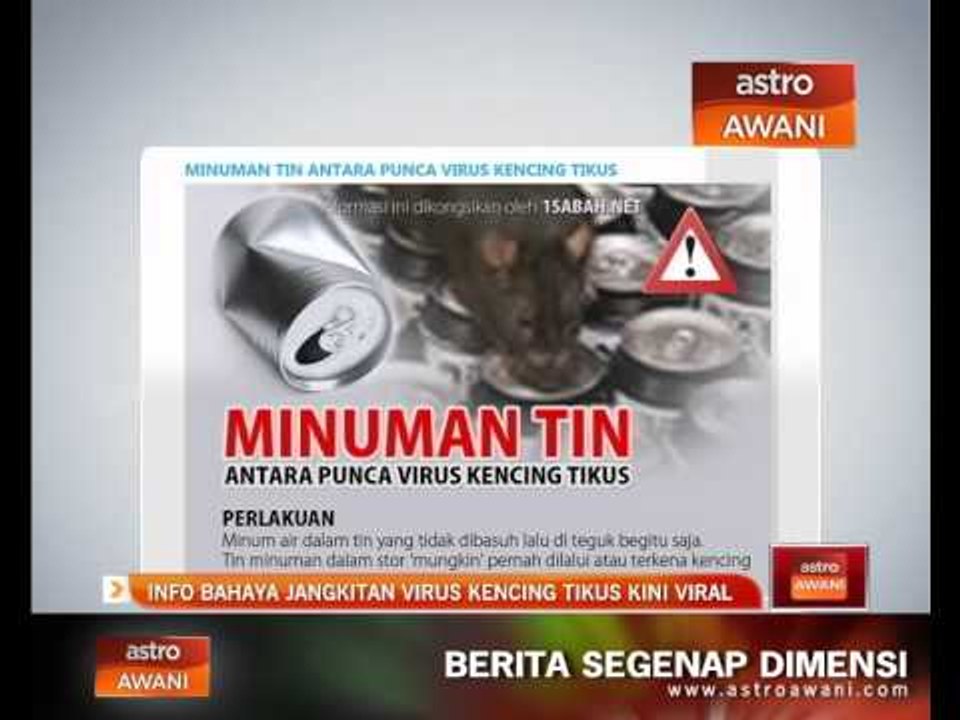 Info bahaya jangkitan virus kencing tikus kini viral