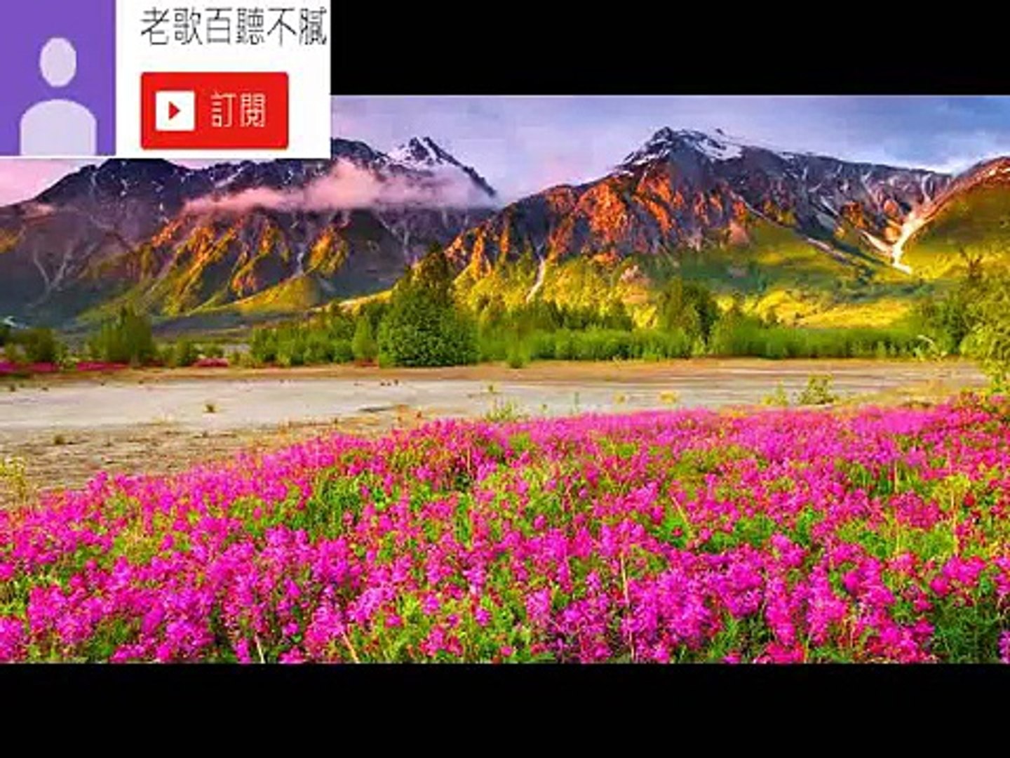 ⁣经典中文怀旧老歌 Chinese Classic Songs