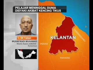 下载视频: Pelajar meninggal dunia disyaki akibat kencing tikus