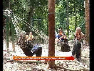 Hutan simpan Selangor berdepan kemusnahan