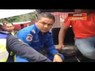 Penemuan terbaharu rangka kedua murid Orang Asli SK Pos Tohoi