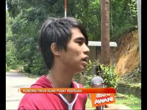 Kencing tikus jelas pusat rekreasi