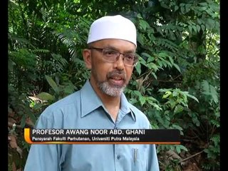 [EKSKLUSIF] Kerakusan manusia perkosa alam semulajadi, Sungai Tembeling jadi mangsa