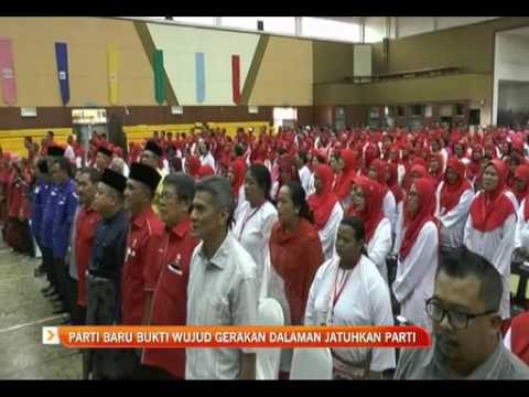 Parti baru bukti wujud gerakan dalaman jatuhkan parti