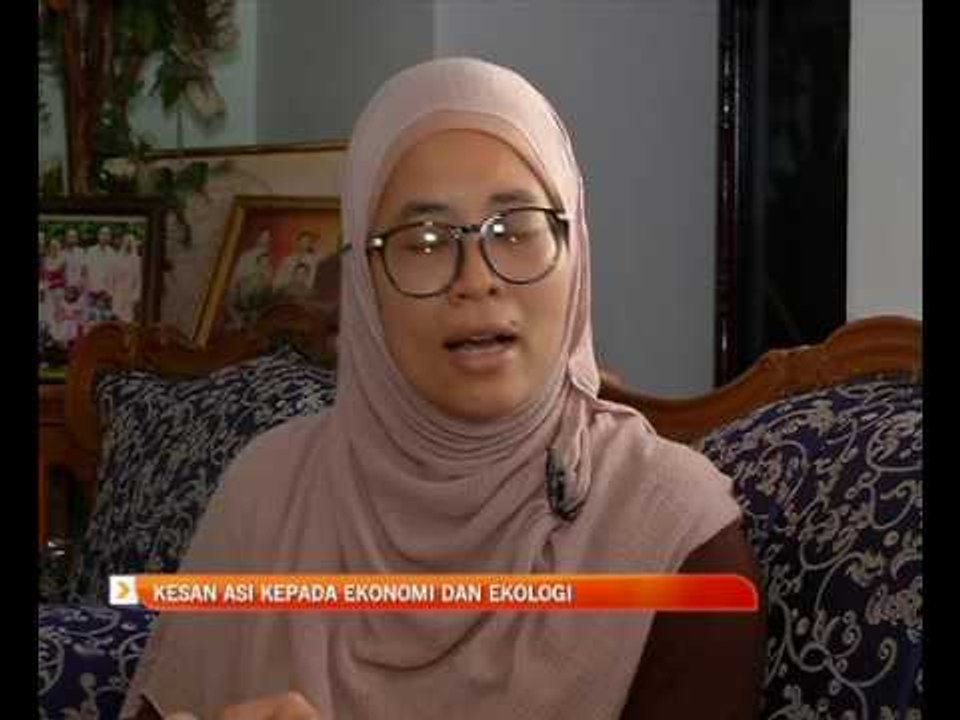 Kesan ASI kepada ekonomi dan ekologi