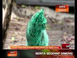 Kucing hijau dari Bulgaria tarik perhatian media sosial