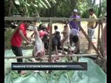 Programme to place Rohingya in jobs