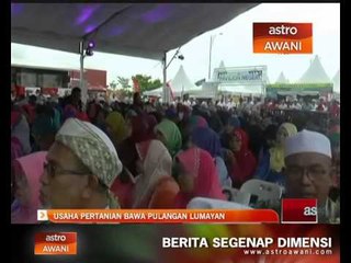 Usaha pertanian bawa pulangan lumayan