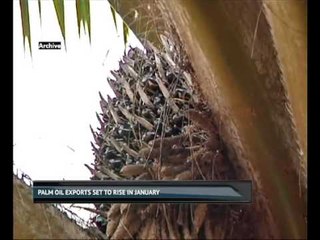 Newsnight Markets 16th January 2017