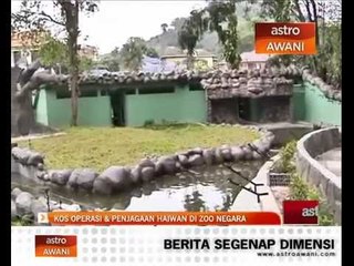 Kos operasi dan penjagaan haiwan di Zoo Negara