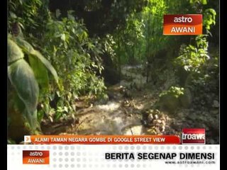 Alami Taman Negara Gombe di Google Street View