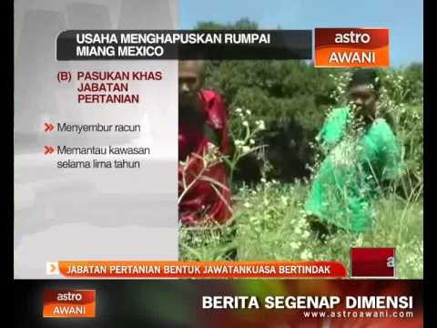 Jabataan Pertanian bentuk jawatankuasa bertindak