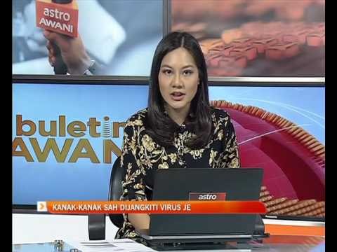 Kanak-kanak sah dijangkiti virus JE