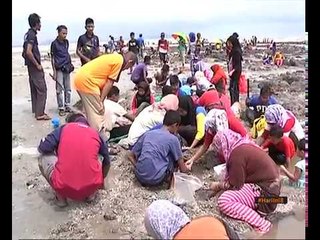 Pesta kutip kerang Pantai Batu Hitam