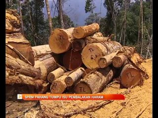 SPRM Pahang tumpu isu pembalakan haram