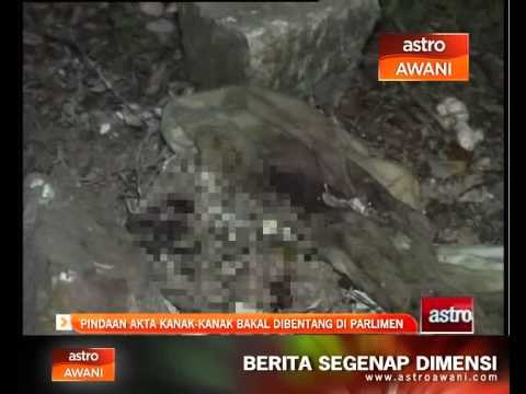 Pindaan akta kanak-kanak bakal dibentang di Parlimen