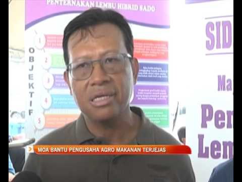 MOA bantu pengusaha agro makanan terjejas akibat El Nino