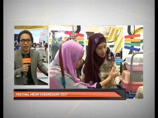 Festival Meow Kebangsaan 2017
