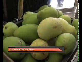 Kenali harumanis, elak ditipu