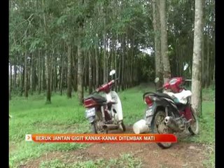 Beruk jantan gigit kanak-kanak ditembak mati