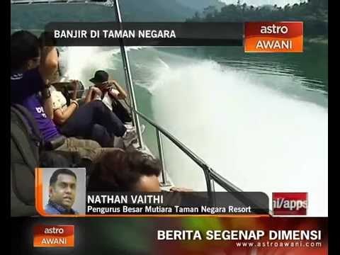 Mangsa banjir terperangkap di Taman Negara
