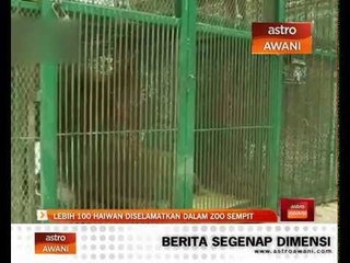 Lebih 100 haiwan diselamatkan dalam zoo sempit