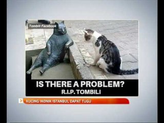 Kucing ikonik Istanbul dapat tugu