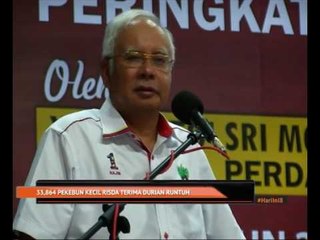 33,864 pekebun kecil RISDA terima durian runtuh