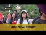 Noah pukau peminat