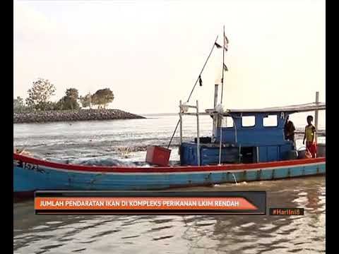 Jumlah pendaratan ikan di Kompleks Perikanan LKIM rendah