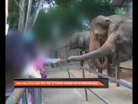 Mac Malaysia dan MAF rai 32 kanak-kanak HIV di Zoo Melaka