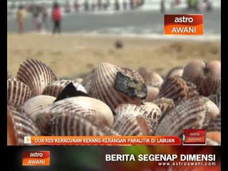 Dua kes keracunan Kerang-Kerangan Paralitik di Labuan