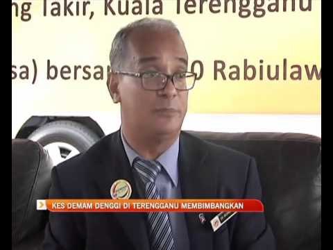 Kes demam denggi di Terengganu membimbangkan