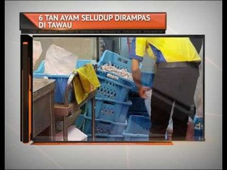 6 tan ayam seludup dirampas di Tawau