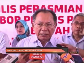 Curi kabel, TM rugi RM50 juta setahun