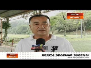 Terus tumpu raih pingat Olimpik di sebalik spekulasi