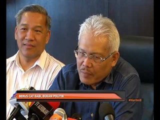 Berus cat babi, bukan politik