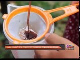 Madu kelulut jana pendapatan tambahan penduduk kampung