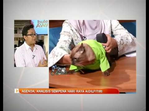 Agenda, Analisis sempena Hari Raya Aidilfitri