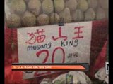 Isu tular musang king tidak sahih