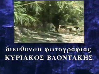 Ταύρος με Τοξότη - Επεισόδιο 24ο