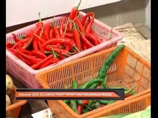 Kerajaan sedia keluarkan permit import atasi kekurangan produk