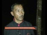 Kejadian kecurian getah beku didakwa meningkat di Kedah